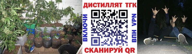 Дистиллят ТГК жижа  Купить  Шацк 