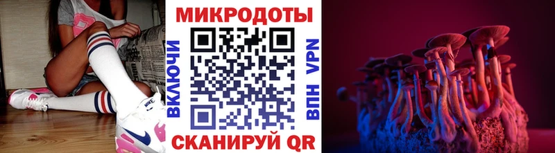 Купить где  Шацк  Галлюциногенные грибы Psilocybine cubensis 