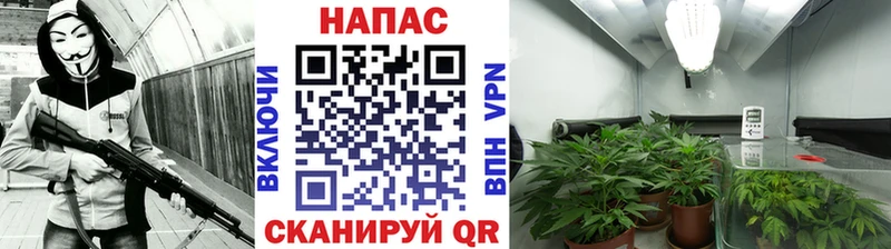 Конопля AK-47  Купить где  Шацк 